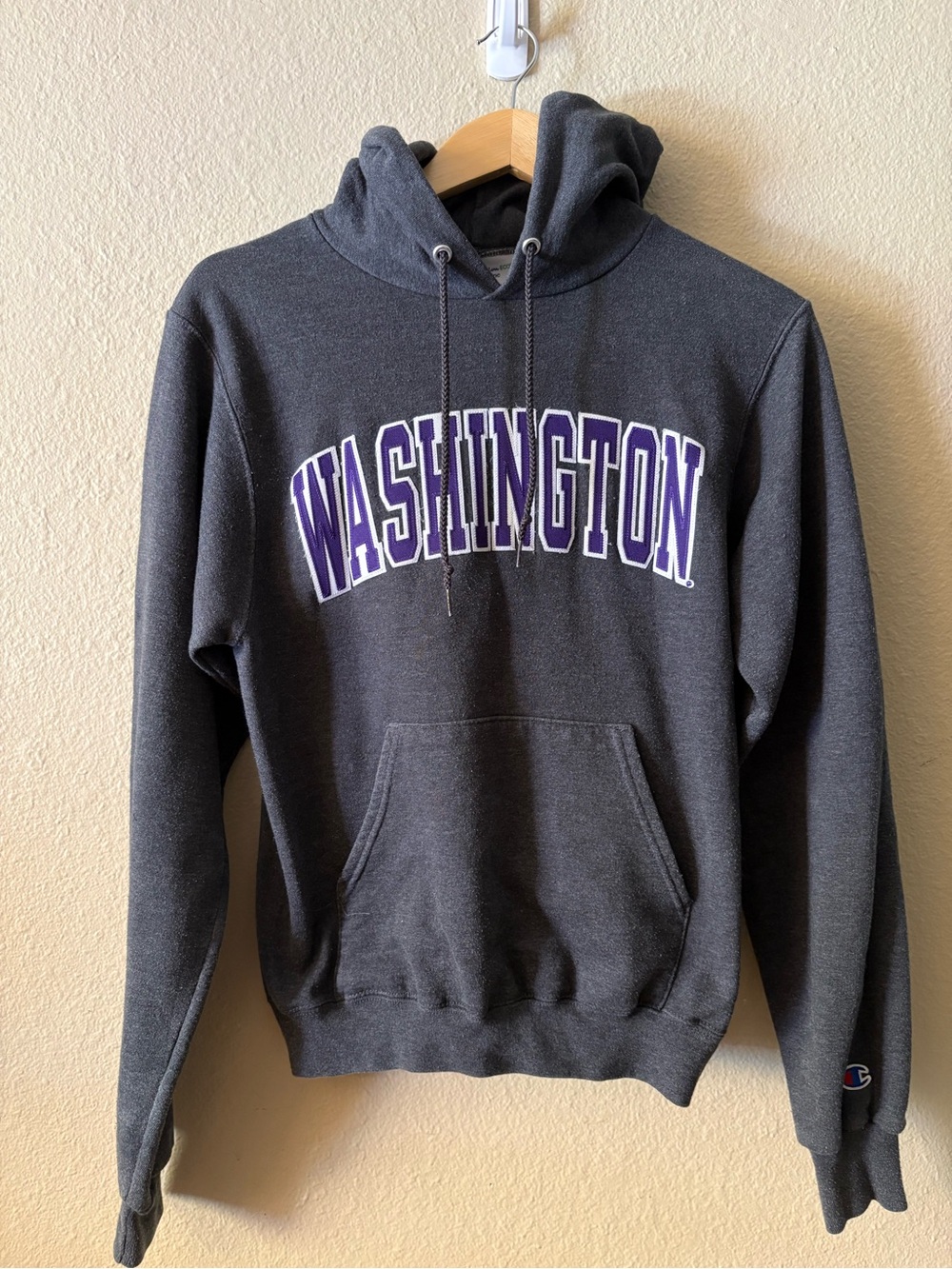 Champion University of Washington Hoodie XS Gray Purple UW Huskies